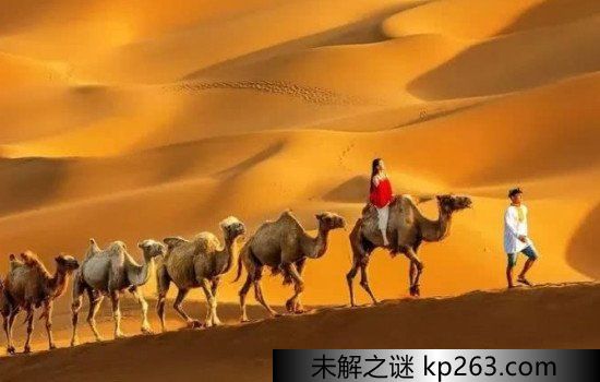 中国最大的沙漠是哪个沙漠，塔克拉玛干沙漠(寓意进得去出不来)