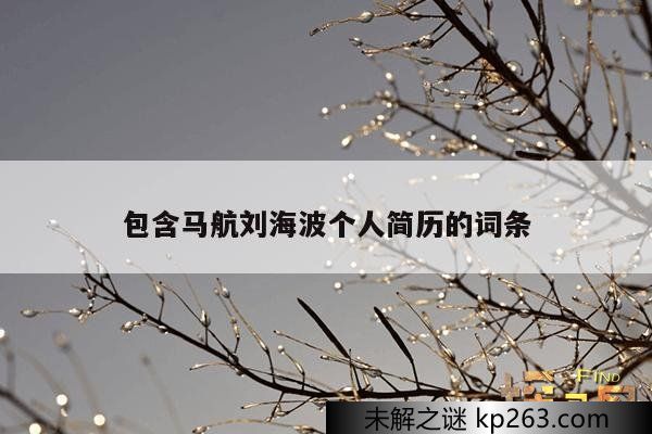 包含马航刘海波个人简历的词条