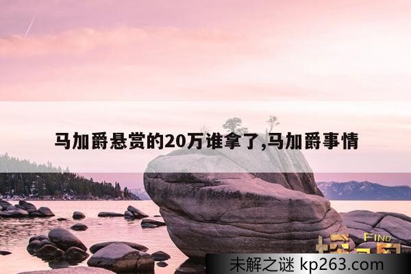 马加爵悬赏的20万谁拿了,马加爵事情