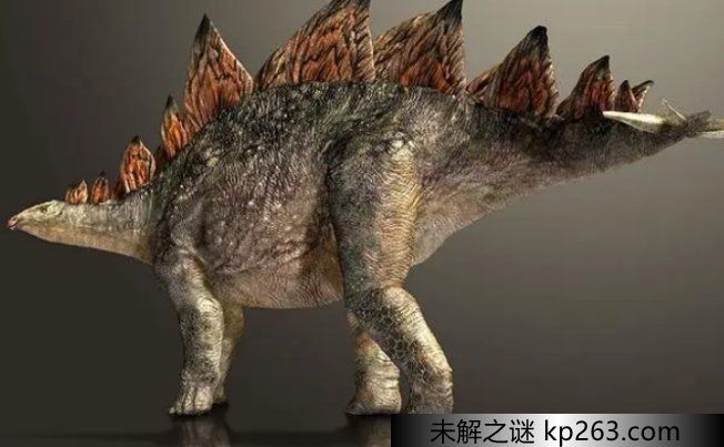  最笨的恐龙是哪一种 生活在侏罗纪中晚期至白垩纪早期（剑龙）